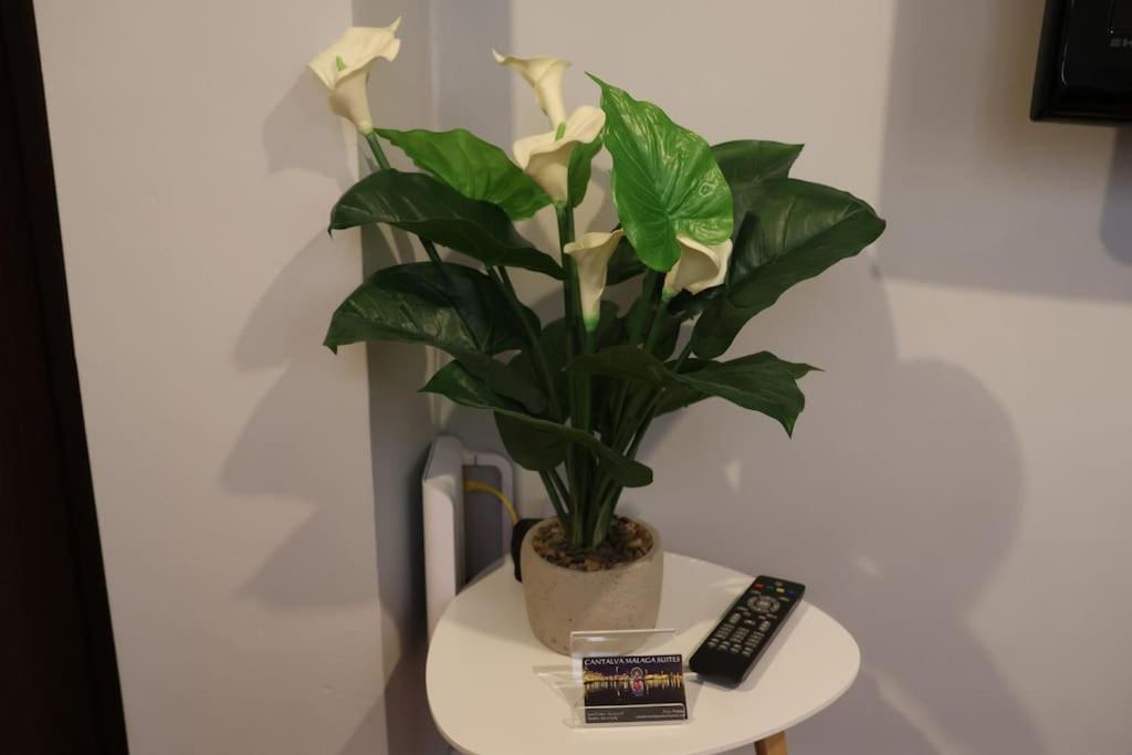 Cms Pena Historical Building Apartment Malaga Luaran gambar